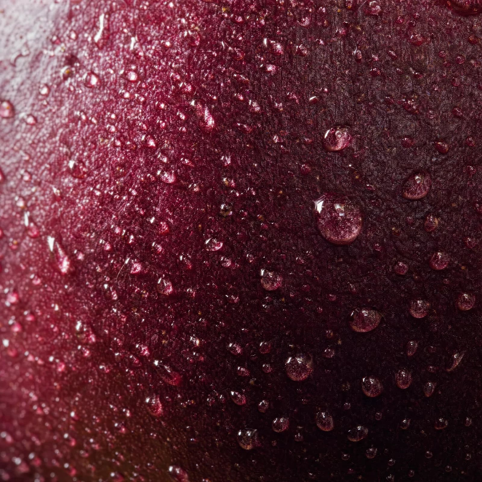 Le camu camu, Vue rapprochée