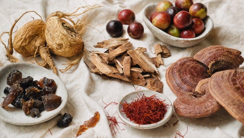 Maca, ashwagandha, lion's mane, reishi, chaga, cordyceps, shilajit, safran : 12 adaptogènes comparés par mécanisme, niveau de preuve et profil d'usage.