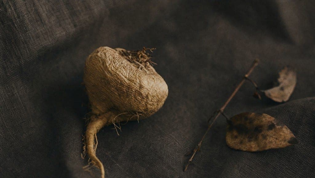 L'entrepreneur et le freelance font face à des contraintes spécifiques : charge mentale intense, décisions fréquentes so
