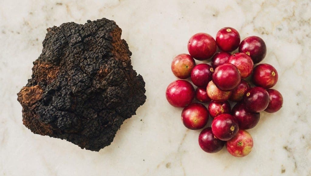 Chaga et camu camu sont tous deux présentés comme des superantioxydants. Un a des données cliniques humaines, l'autre no