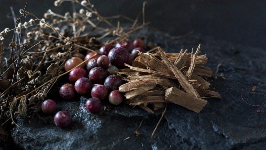 Baies de camu camu, copeaux d'écorce de griffe de chat et branches sèches sur une pierre sombre