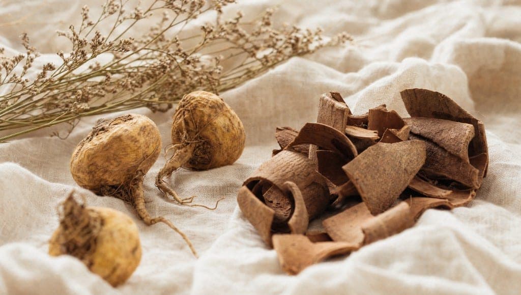 Trois racines de maca et un tas de grandes plaques d'écorce sur un drap de lin froissé, avec des brindilles fleuries séchées.