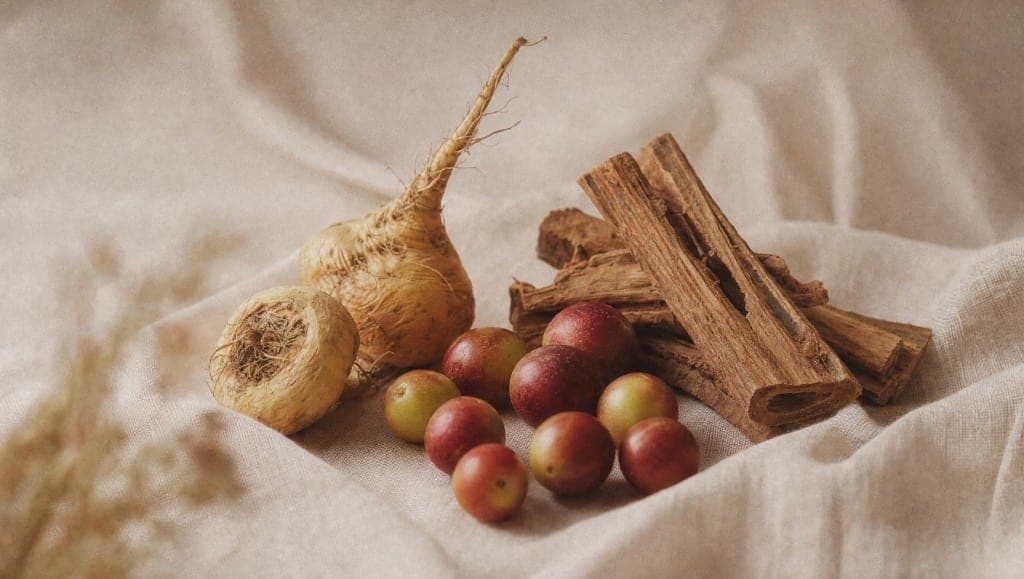 Ashwagandha, rhodiola, maca, safran, magnésium : classement des compléments documentés contre le stress chronique, par m