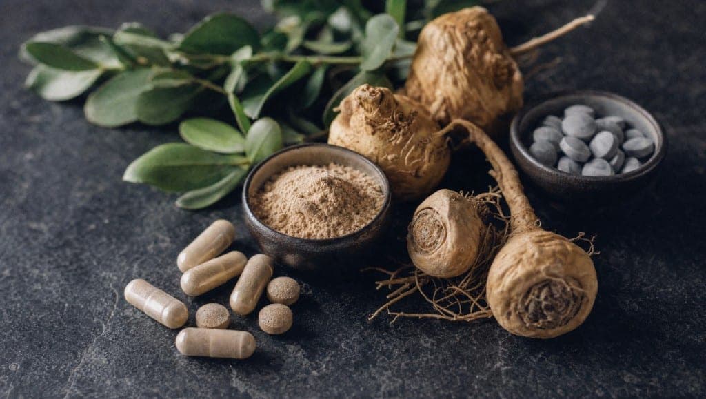 Des racines de maca, un bol de poudre beige, des gélules et des comprimés, avec un rameau à feuilles vertes sur une ardoise sombre.