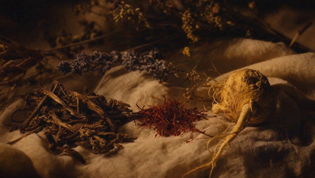 Racines séchées, fleurs de lavande, pistils de safran et racine de maca sur une toile de lin