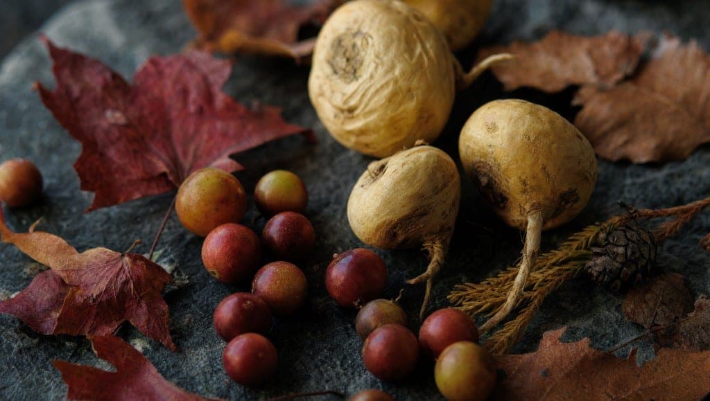 Trois racines de maca et des baies rouges parmi des feuilles mortes et une pomme de pin, sur une pierre grise.