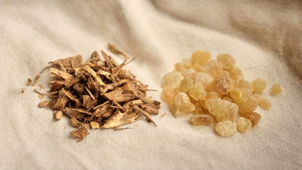 Griffe de chat et boswellia sont les deux anti-inflammatoires naturels les mieux documentés. Comparatif des mécanismes,