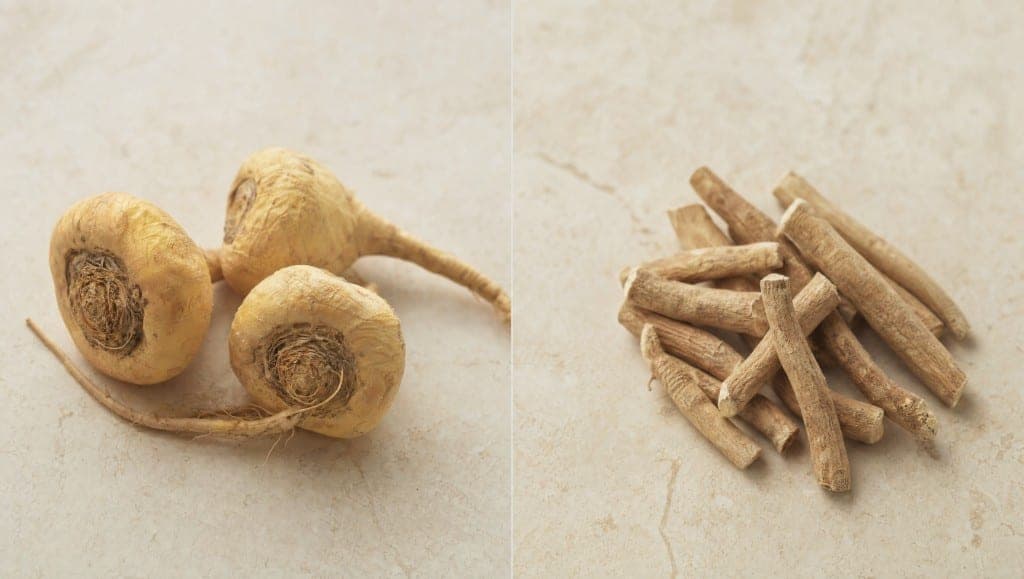Comparatif ginseng ashwagandha adaptogènes