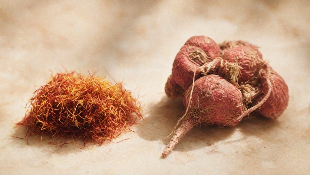 Filaments de safran rouges et poudre de maca beige dans deux coupelles de céramique sur fond sombre
