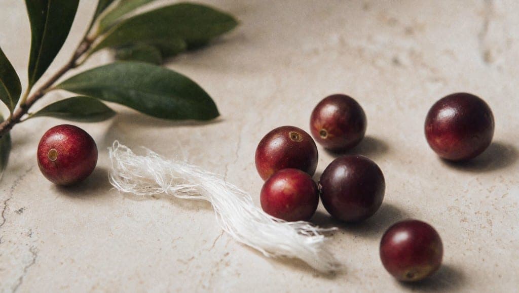 La vitamine C est indispensable à la synthèse du collagène. Le camu camu pour les articulations, la peau et les tendons