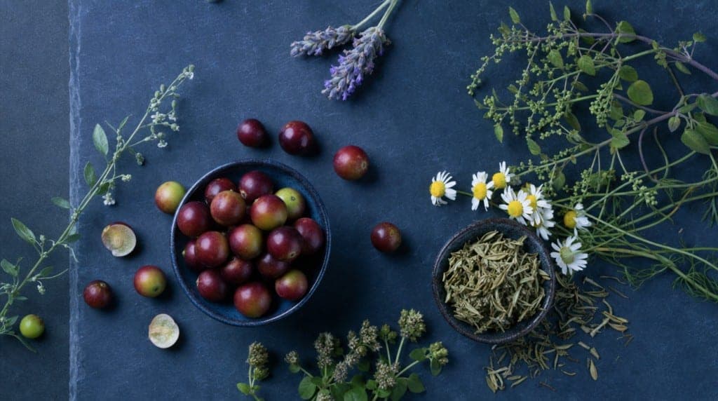 Polyphénols, stress oxydatif et marqueurs glycémiques mesurés dans les études disponibles.