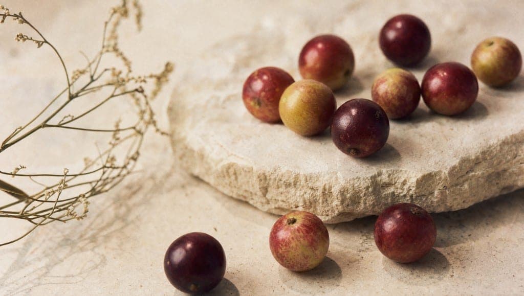 Le camu camu peut-il être donné aux enfants ? Données de sécurité disponibles, doses adaptées et alternatives recommandé