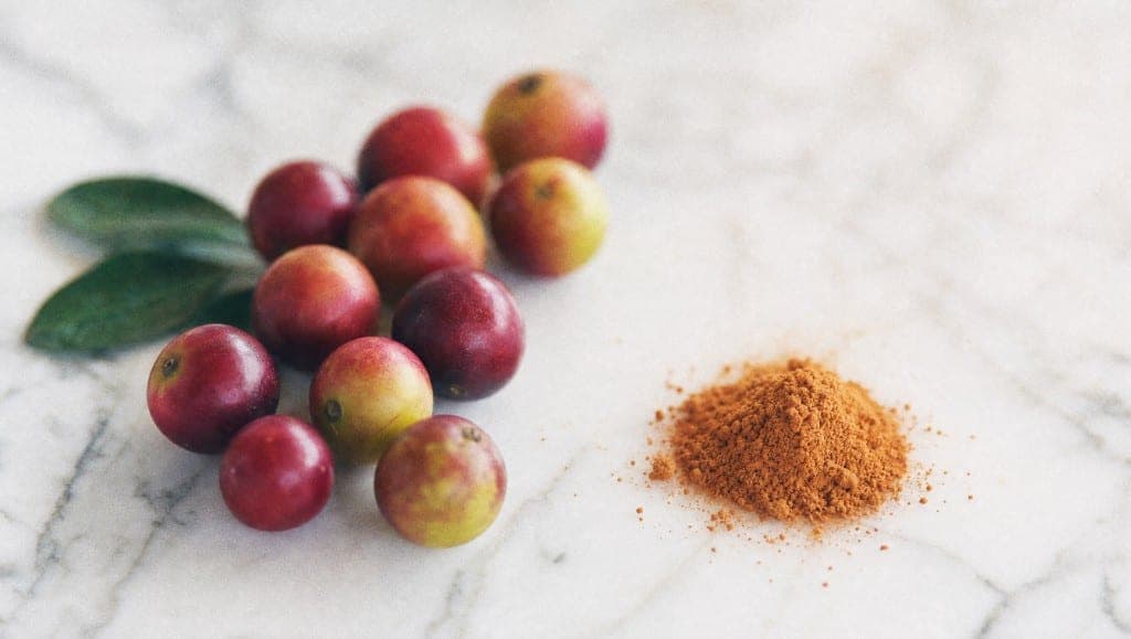 La vitamine C du camu camu est naturelle et bien tolérée. Ce que les données permettent de dire sur son usage chez les e