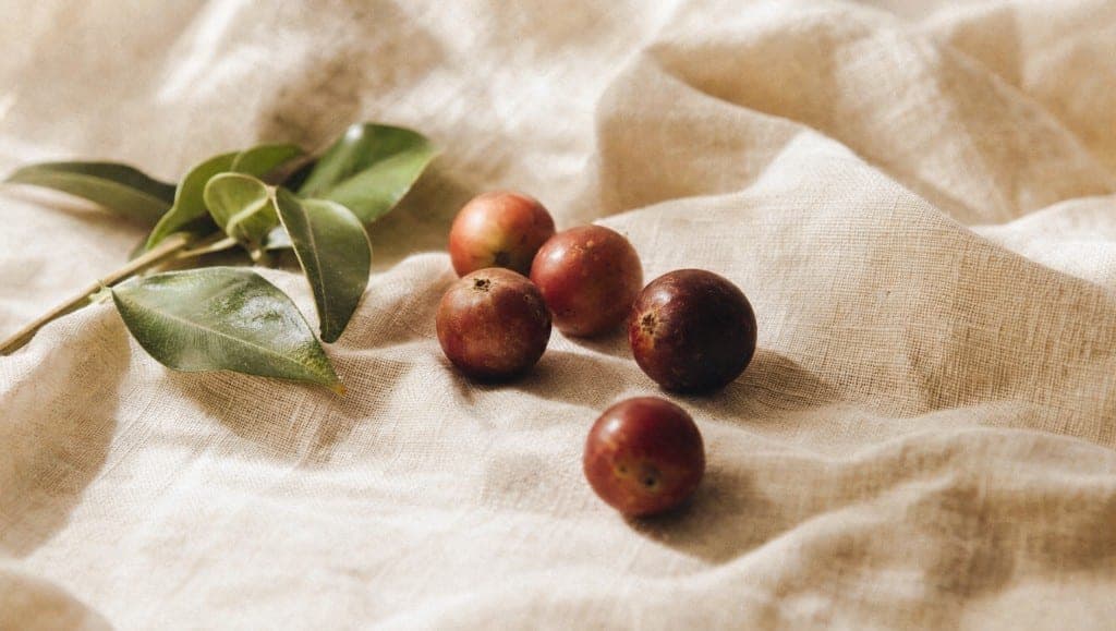 Le camu camu pendant la grossesse : données de sécurité, besoins en vitamine C, ce que les polyphénols changent et quell