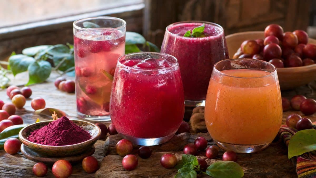 Comment et quand ajouter le camu camu à vos boissons : options pratiques et conseils d'intégration au quotidien.
