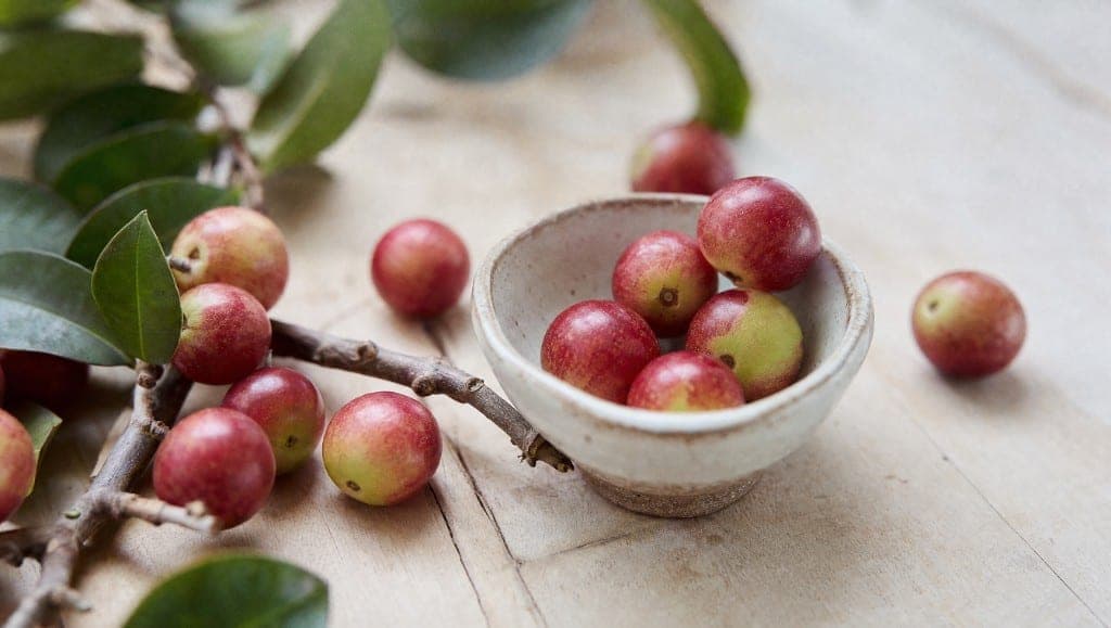 Comment utiliser la poudre de camu camu en cuisine ? Recettes de smoothies, associations gourmandes et conseils de conse