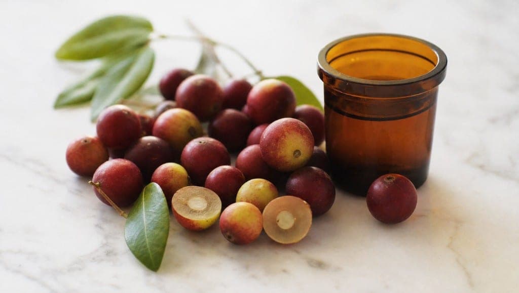 Registre de l'essai Marette 2024 sur lipides hépatiques et extrait de camu camu — contexte recherche, pas promesse thérapeutique