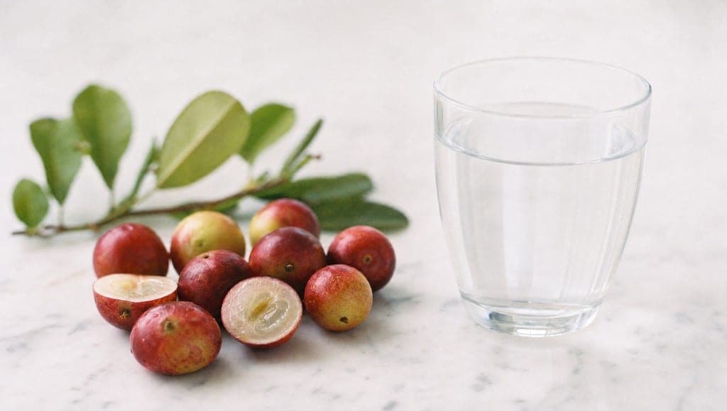 L'étude Inoue 2008 a mesuré l'effet du camu camu sur des marqueurs cardiovasculaires chez des fumeurs. Ce que les donnée