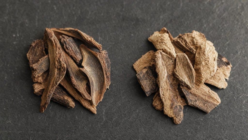 Deux espèces de griffe de chat existent : Uncaria tomentosa et Uncaria guianensis. Différences de composition, données d