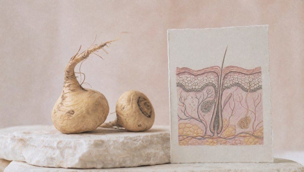 La maca provoque-t-elle de l'acné ? Ce que les données sur les hormones et les glucosinolates permettent de dire sur la