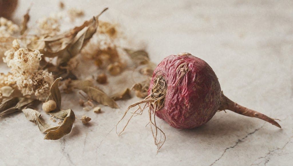 Une racine de maca rouge posée sur un marbre clair, à côté de fleurs et de feuilles séchées.