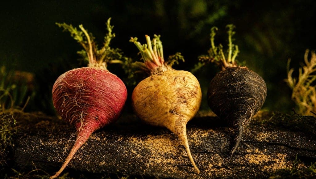 Trois racines de maca, rouge, jaune et noire, alignées sur un bois sombre saupoudré de poudre.