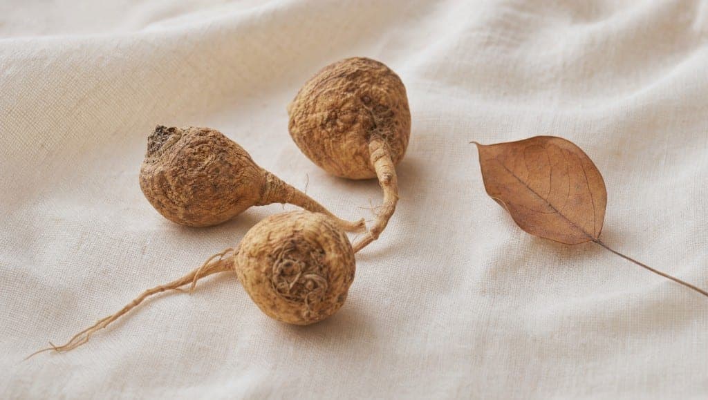 La maca est bien tolérée dans les essais cliniques à des doses de 1,5 à 3,5 g/jour sur 4 mois. Quelques populations doiv