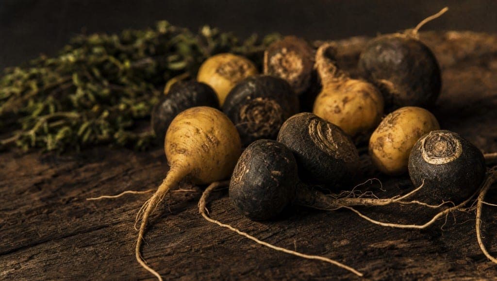La maca améliore la qualité spermatique en 3-4 mois selon deux essais cliniques. Protocole détaillé, dose, durée et ce à