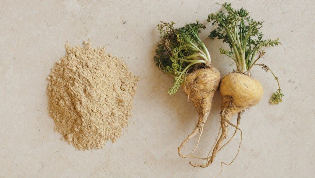 Racine de maca séchée et poudre de maca posées côte à côte sur un plan de travail