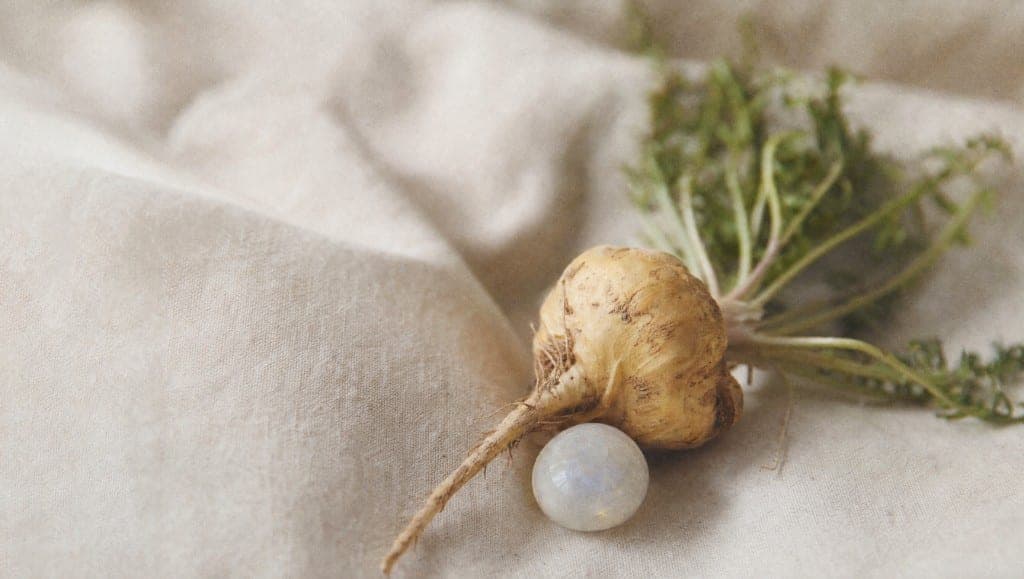 La périménopause dure 4 à 8 ans avant l'arrêt des règles. Ce que la maca peut apporter pendant cette transition hormonal