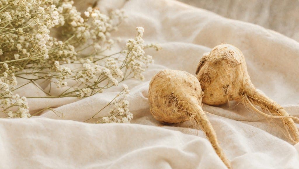 Le post-partum combine fatigue intense, baisse de libido et dérèglement hormonal. Ce que les données disponibles permett