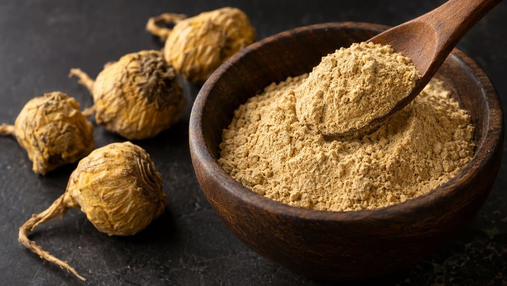 Poudre de maca prélevée à la cuillère dans un bol en bois sombre, racines de maca séchées jaunâtres à côté