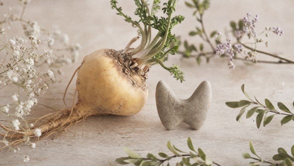 La maca contient des glucosinolates qui peuvent interférer avec la thyroïde. Ce que les données permettent de dire pour