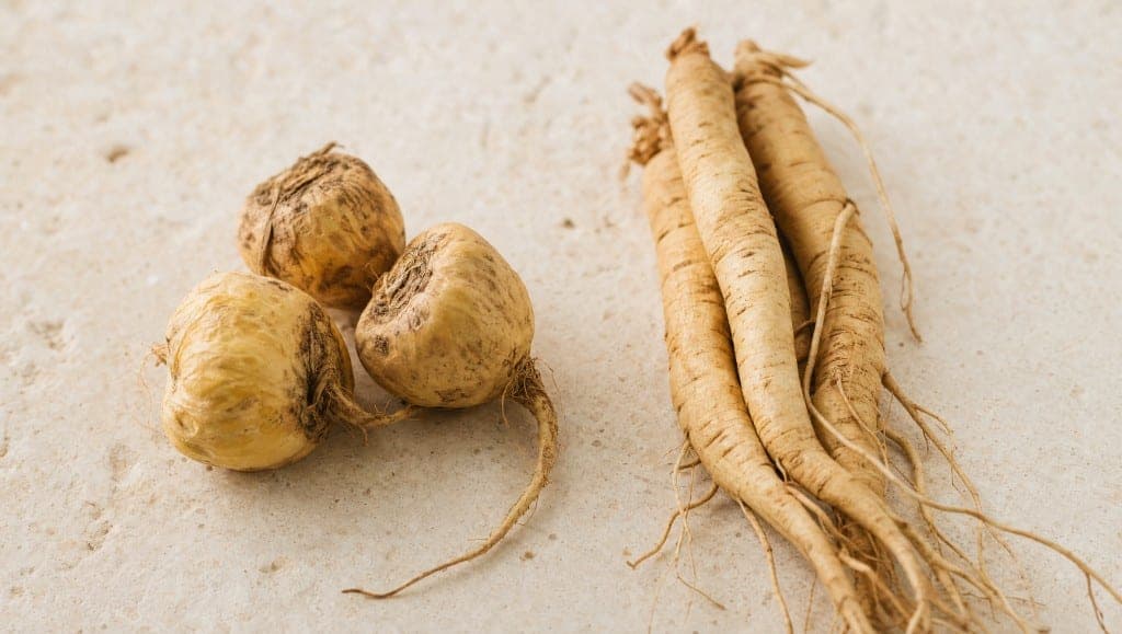 Maca andine et ginseng asiatique : deux plantes adaptogènes aux mécanismes différents. Comparatif précis des indications