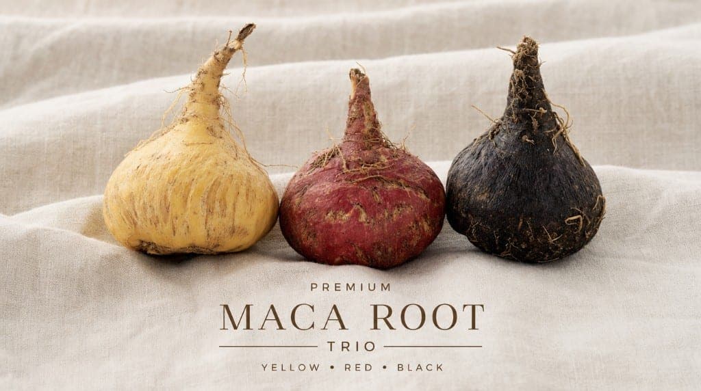 Comment choisir la meilleure maca bio en France : origine péruvienne, gélatinisation, certification, analyses de lot. Cr