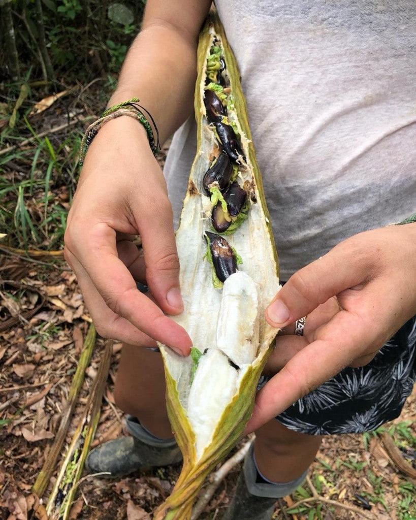 À la source — Le territoire derrière chaque flacon BOTANINCA.
