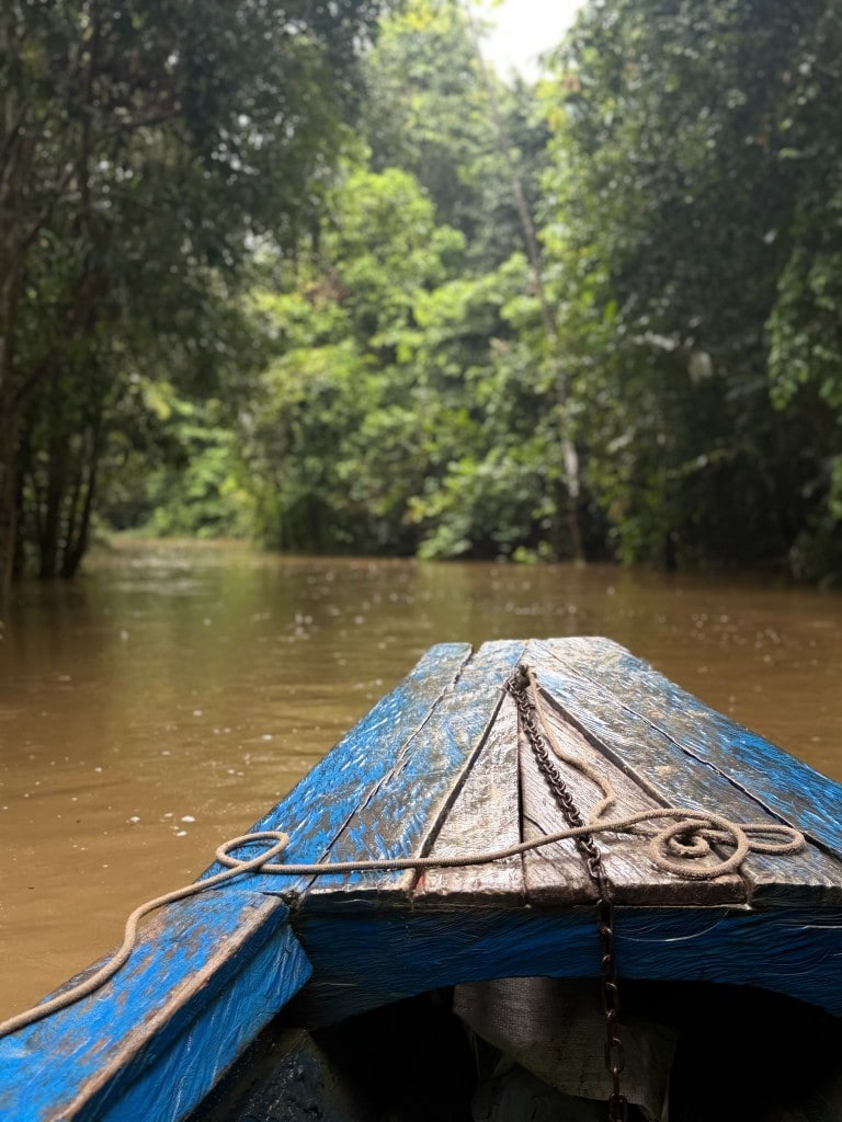 Fleuve amazonien — En pirogue, vers les communautés et les plantes.