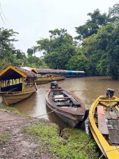 Pirogues sur l'Amazonie — le fleuve comme lien de vie