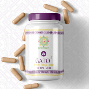 GATO ³