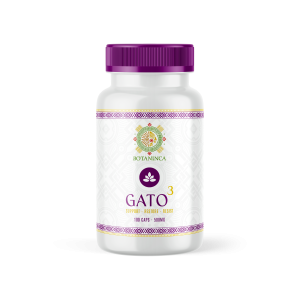 Gato3_2